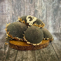 4 Medium Sunflower Heads