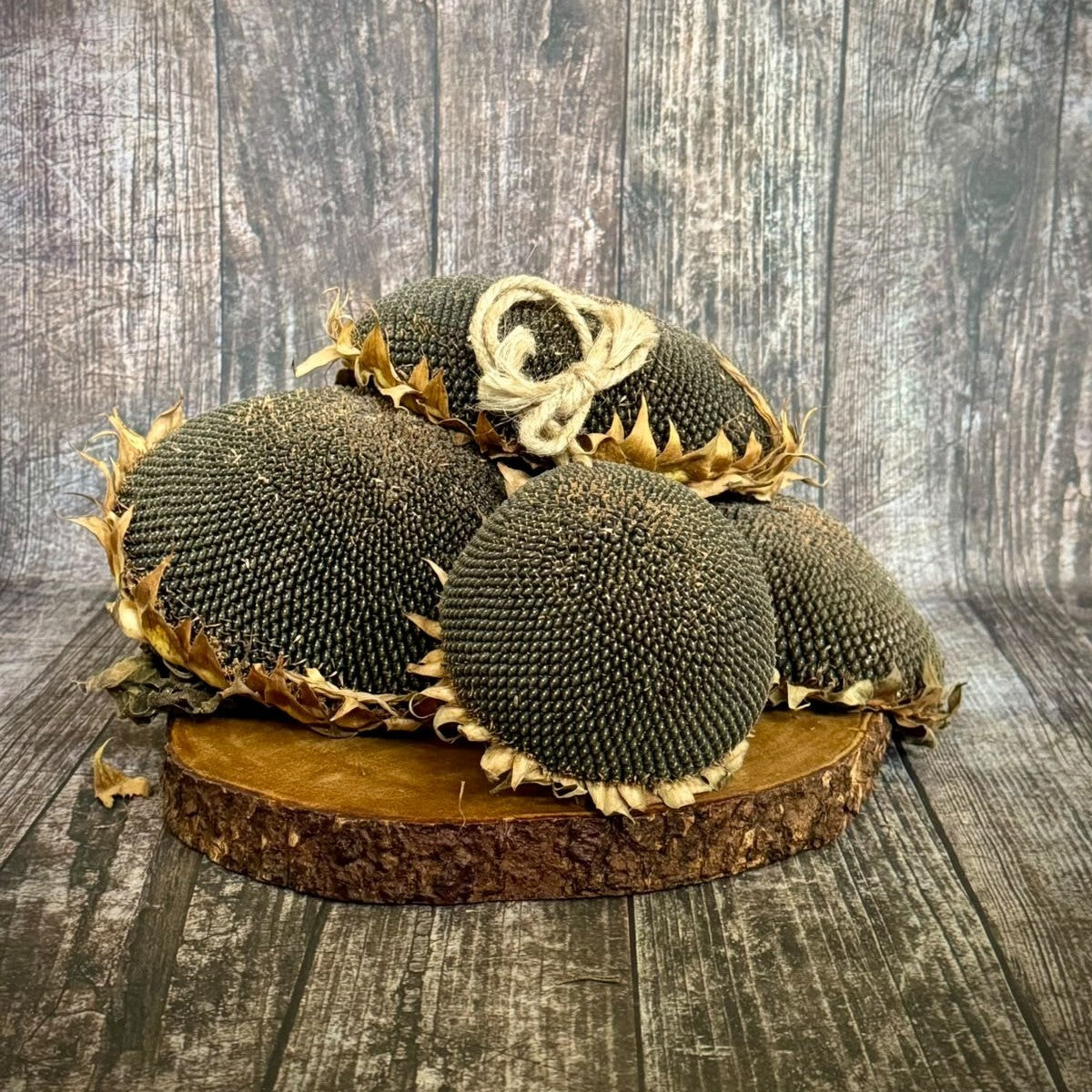 4 Medium Sunflower Heads